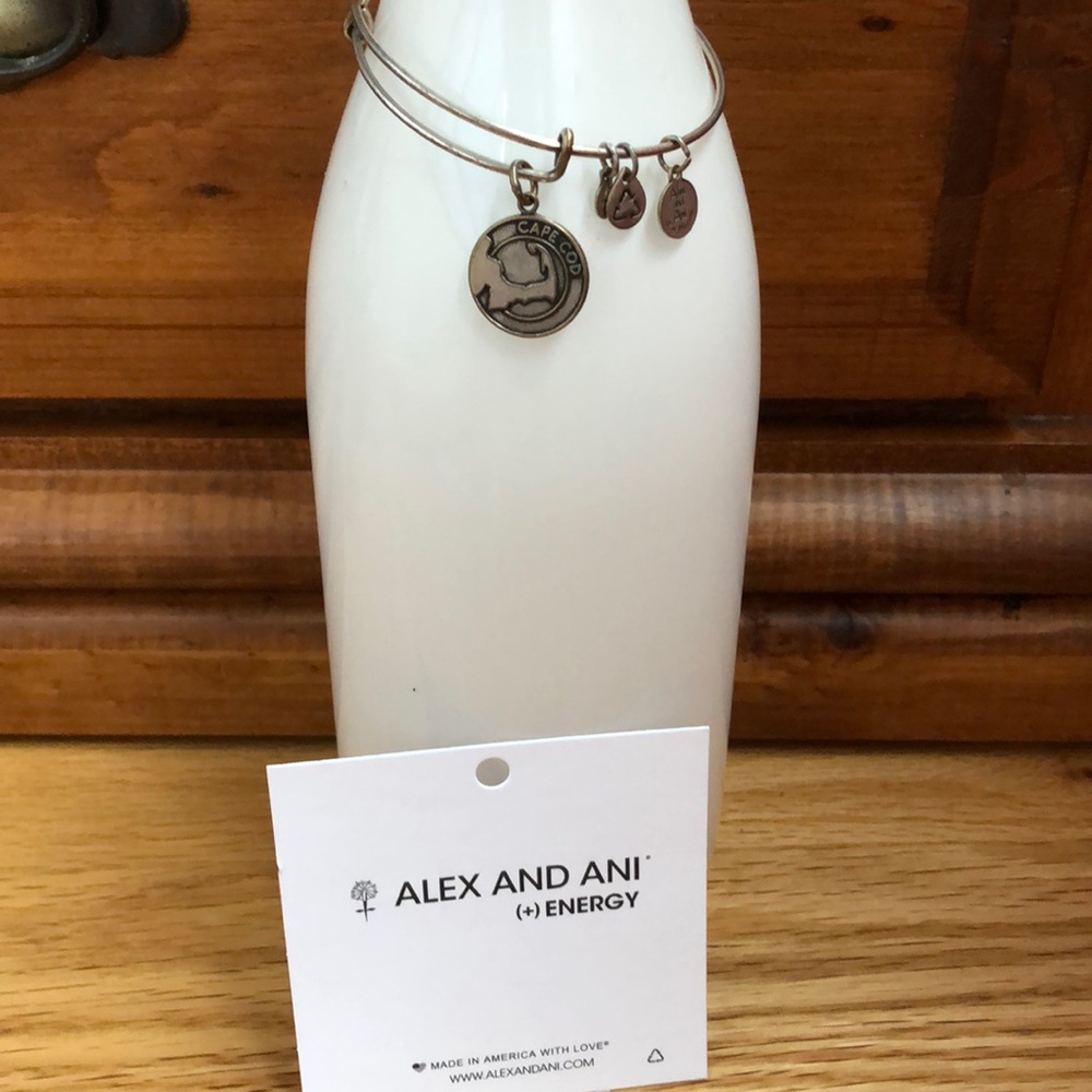 Alex & Ani Cape Cod Bracelet